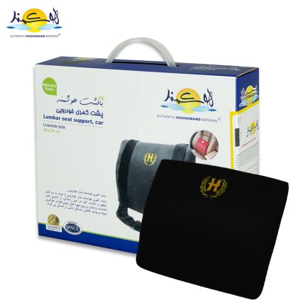 پشت کمری اتومبیلی